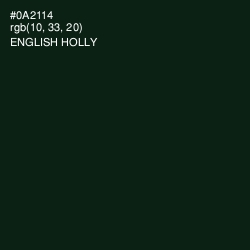 #0A2114 - English Holly Color Image
